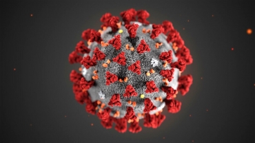 Hotel e coronavirus raccolta dati