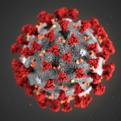Hotel e coronavirus raccolta dati
